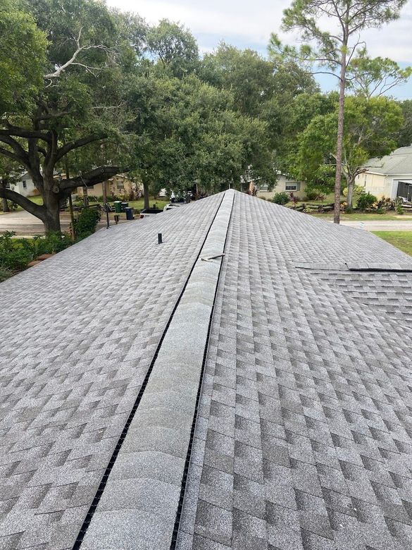 A close up of a roof with trees in the background.