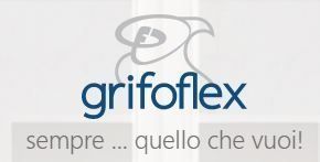 Logo per Grifo Flex. Logo blu e bianco con la scritta "grifo flex" e lo slogan "Zanzariere e schermature solari".