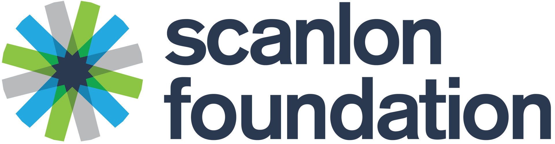 https://www.scanlonfoundation.org.au/