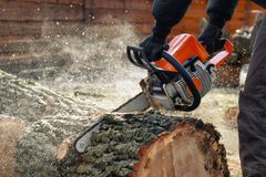 A person is using a chainsaw to cut a tree stump.