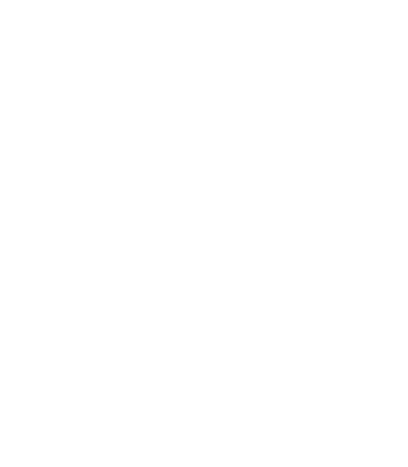 Real Estate Investment Society Logo