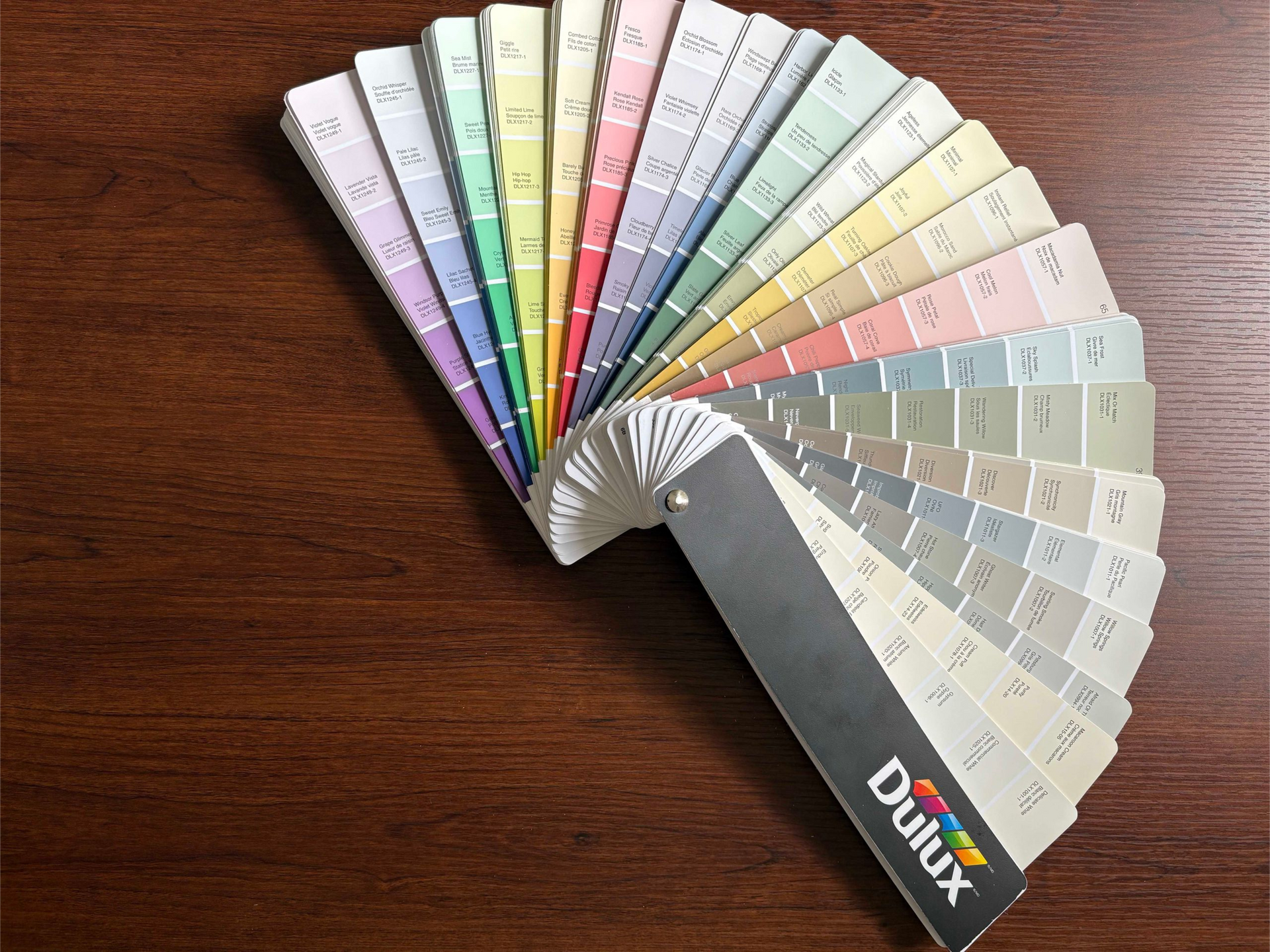 Échantillons de peinture colorée sur une surface en bois