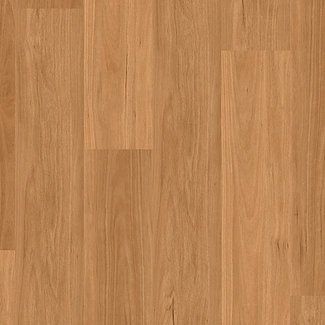 DLL 701 coastal black butt