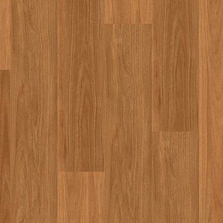 DLL 702 northern black butt