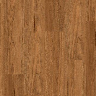 DLL 703 northern spotted gum