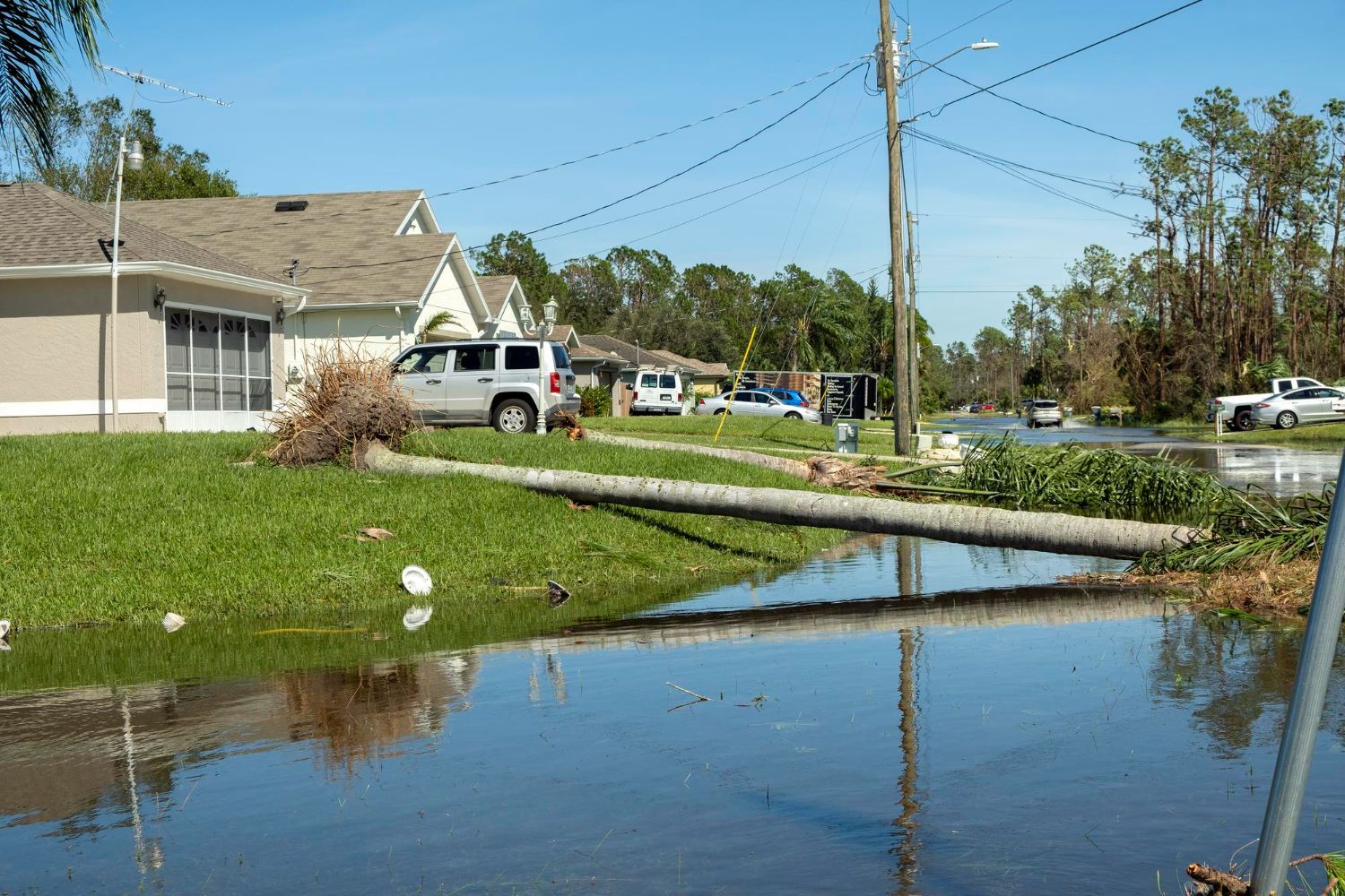 A fallen tree lies across a flooded grassy yard in a suburban neighborhood under a clear blue sky.