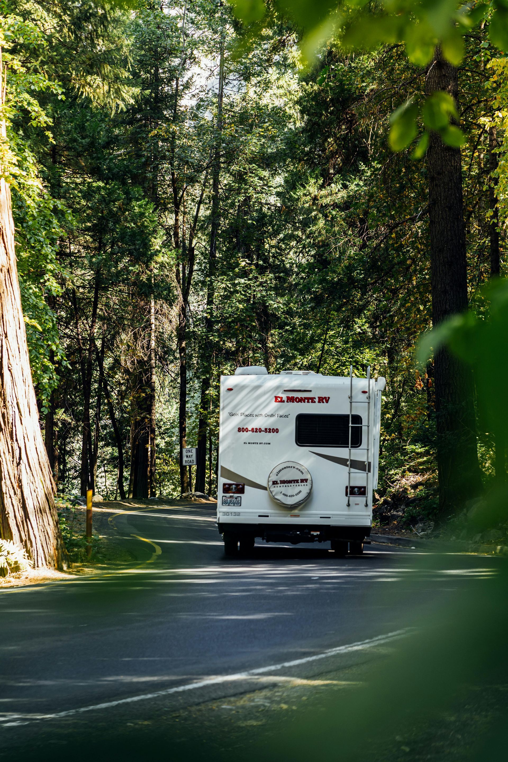 A white recreational vehicle driving away on a paved road through a dense, sunlit forest.