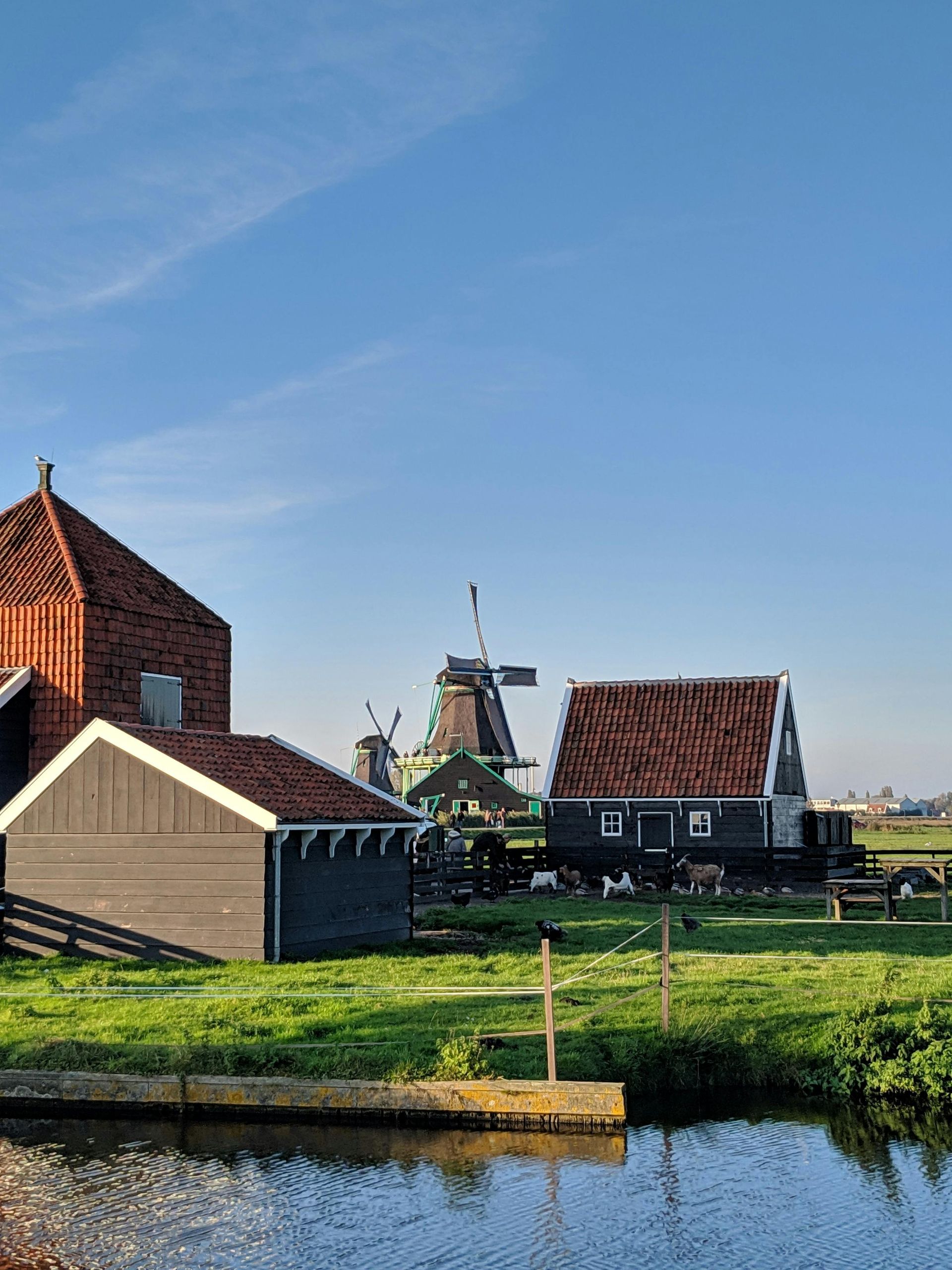 Traditional Dutch houses and a windmill stand in a lush green meadow beside a canal under a clear blue sky.