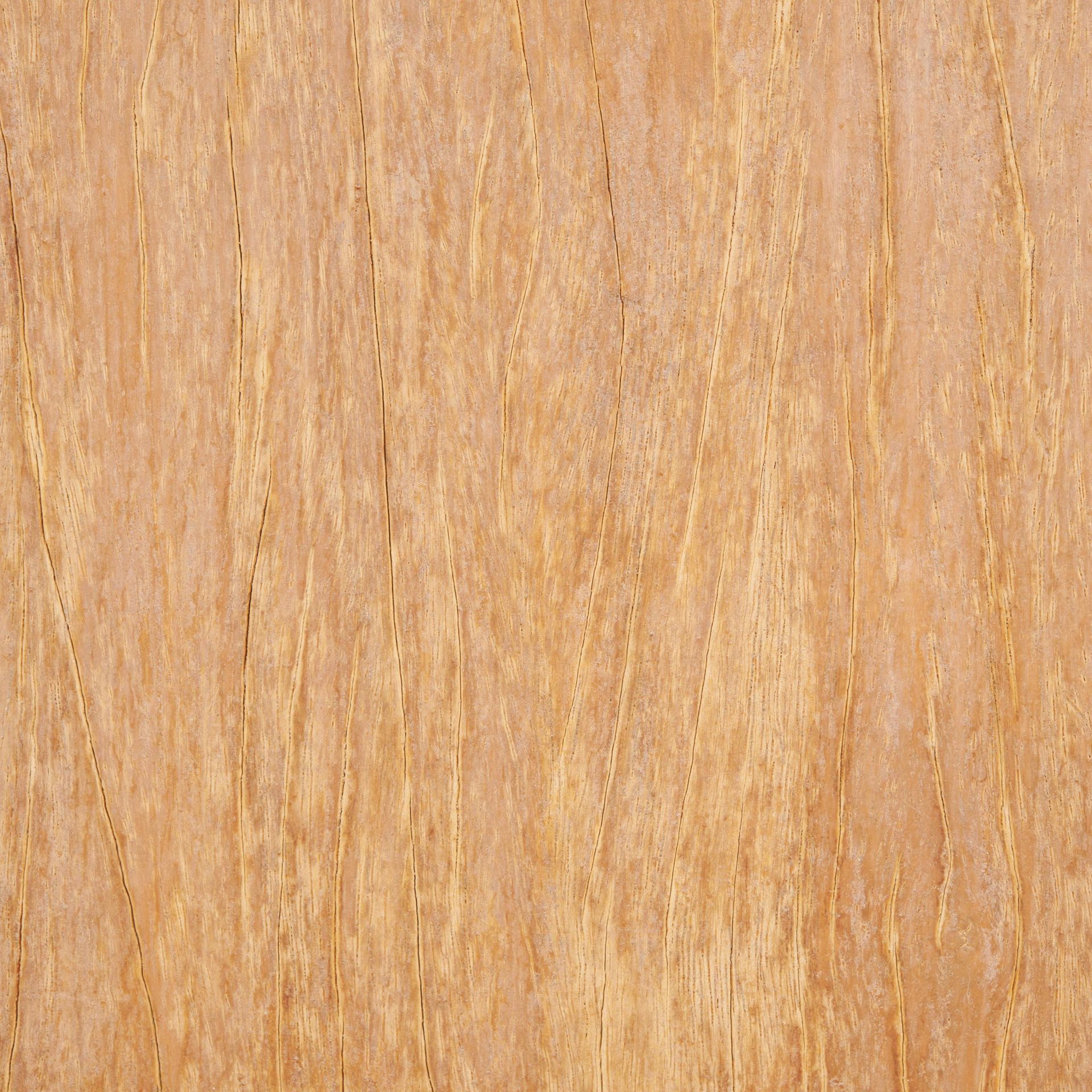 Un primer plano de un trozo de madera que muestra la veta y la textura.