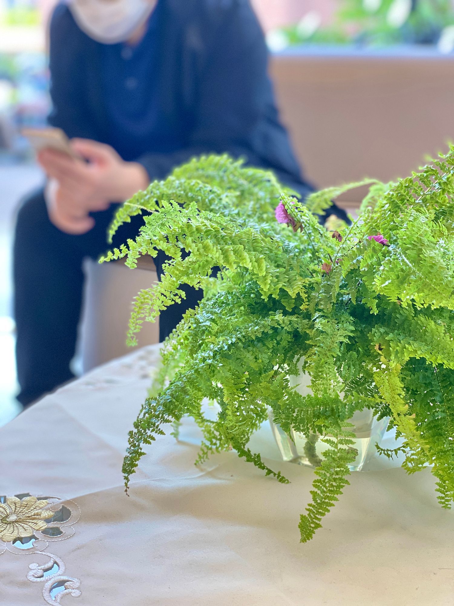 A person wearing a mask is sitting on a couch next to a vase of ferns.
