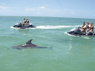 Jet Ski Waverunner Dolphin Tours Destin, FL