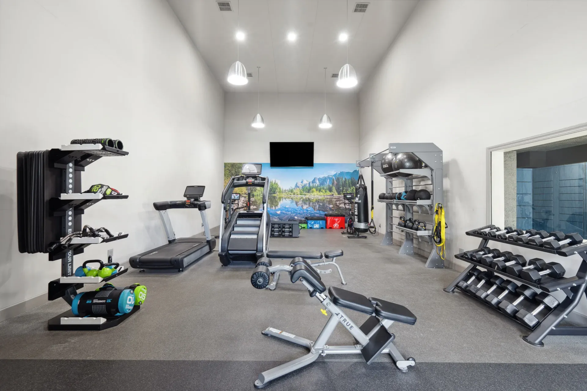 Interior of a spacious gym with treadmills, weights, and a mural on the back wall.