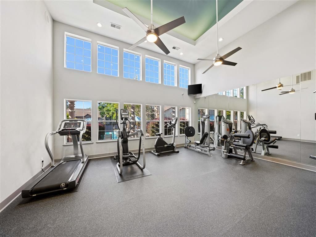 Bright apartment community gym with treadmills, ellipticals, and weight machines.