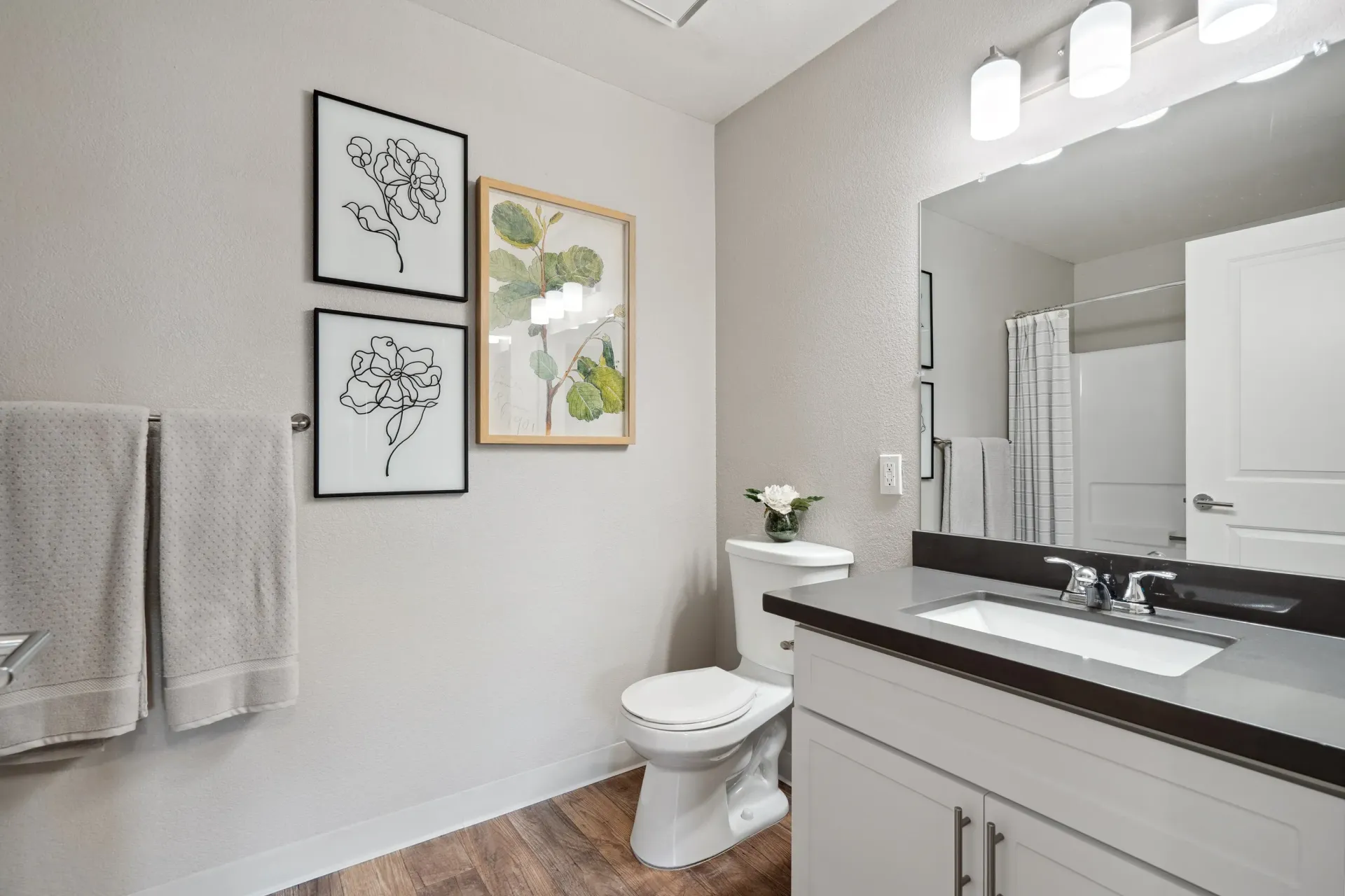 Bathroom in an apartment with vanity, mirror, toilet, towel rack, and wall art.