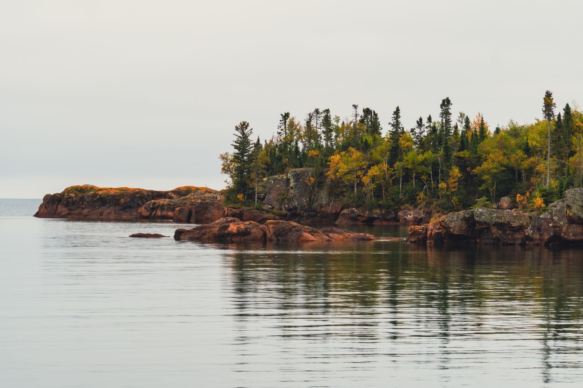 A small island in the middle of a lake with trees on it.