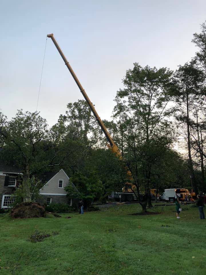 A crane lifts a fallen tree away from a house on a cloudy day.