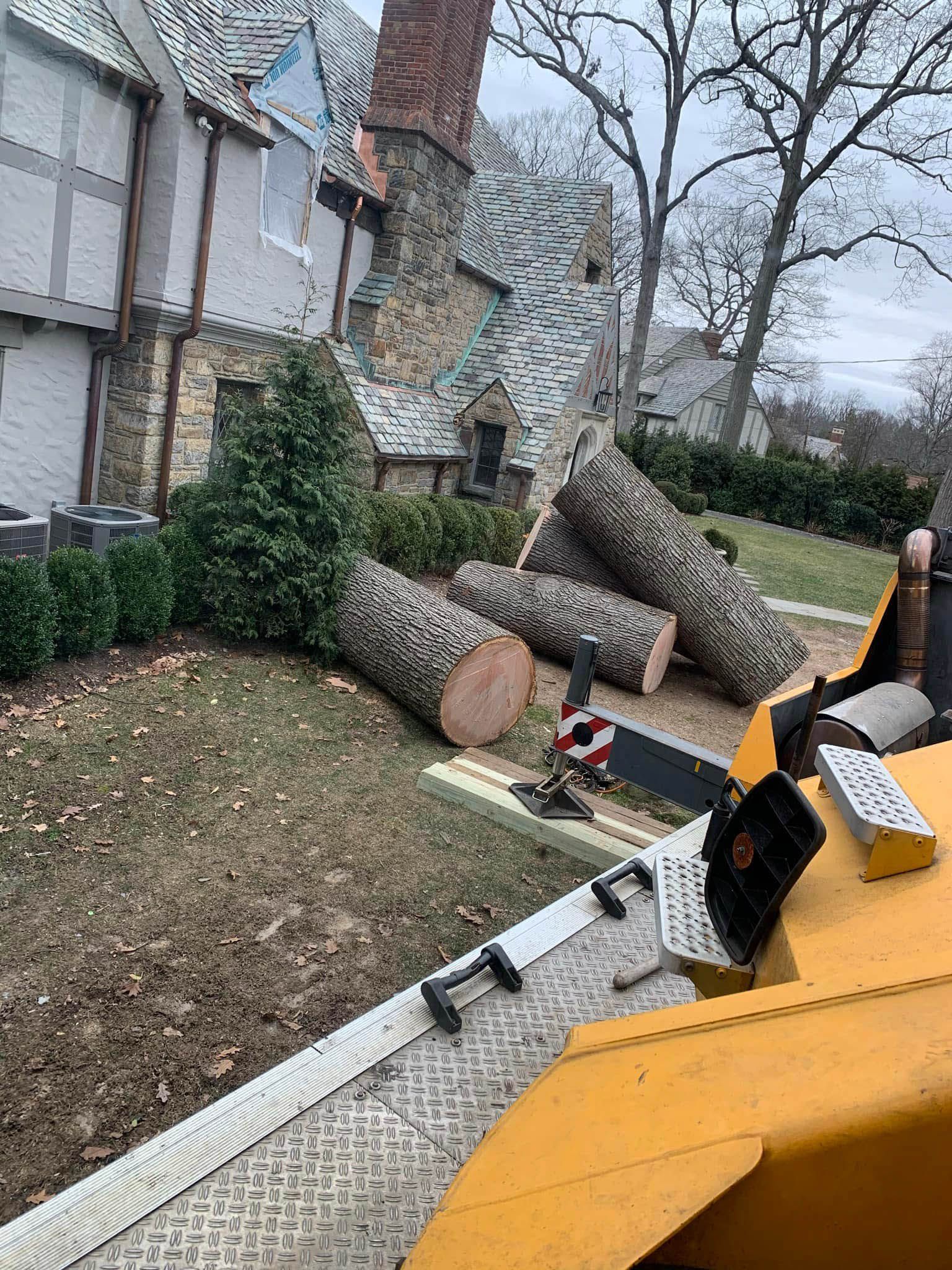 Logs from a cut tree on a hillside next to a house with a stone chimney.