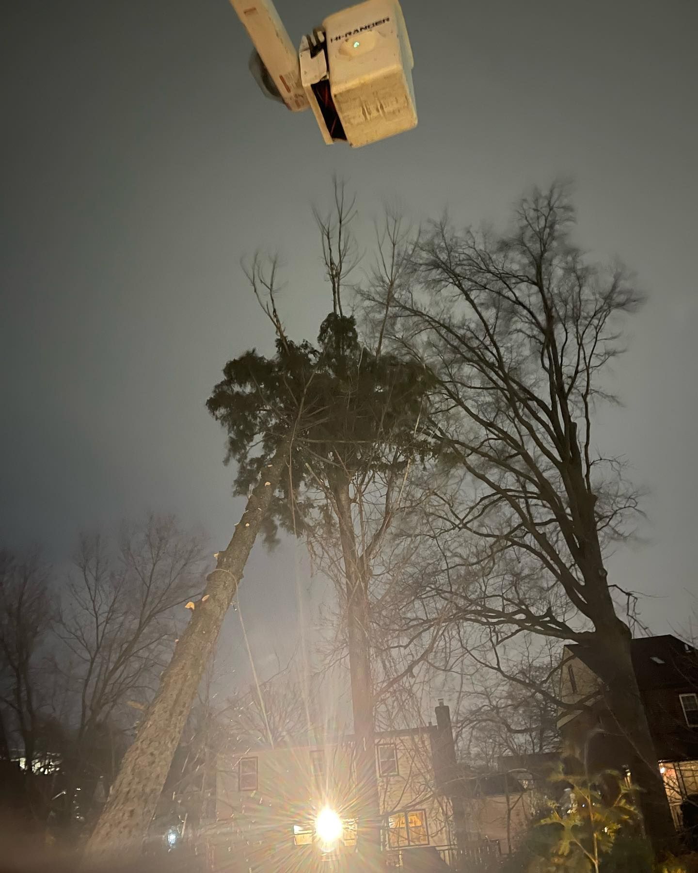 A bucket truck removing a tall tree at night. Street lights illuminate the scene with a cloudy sky.