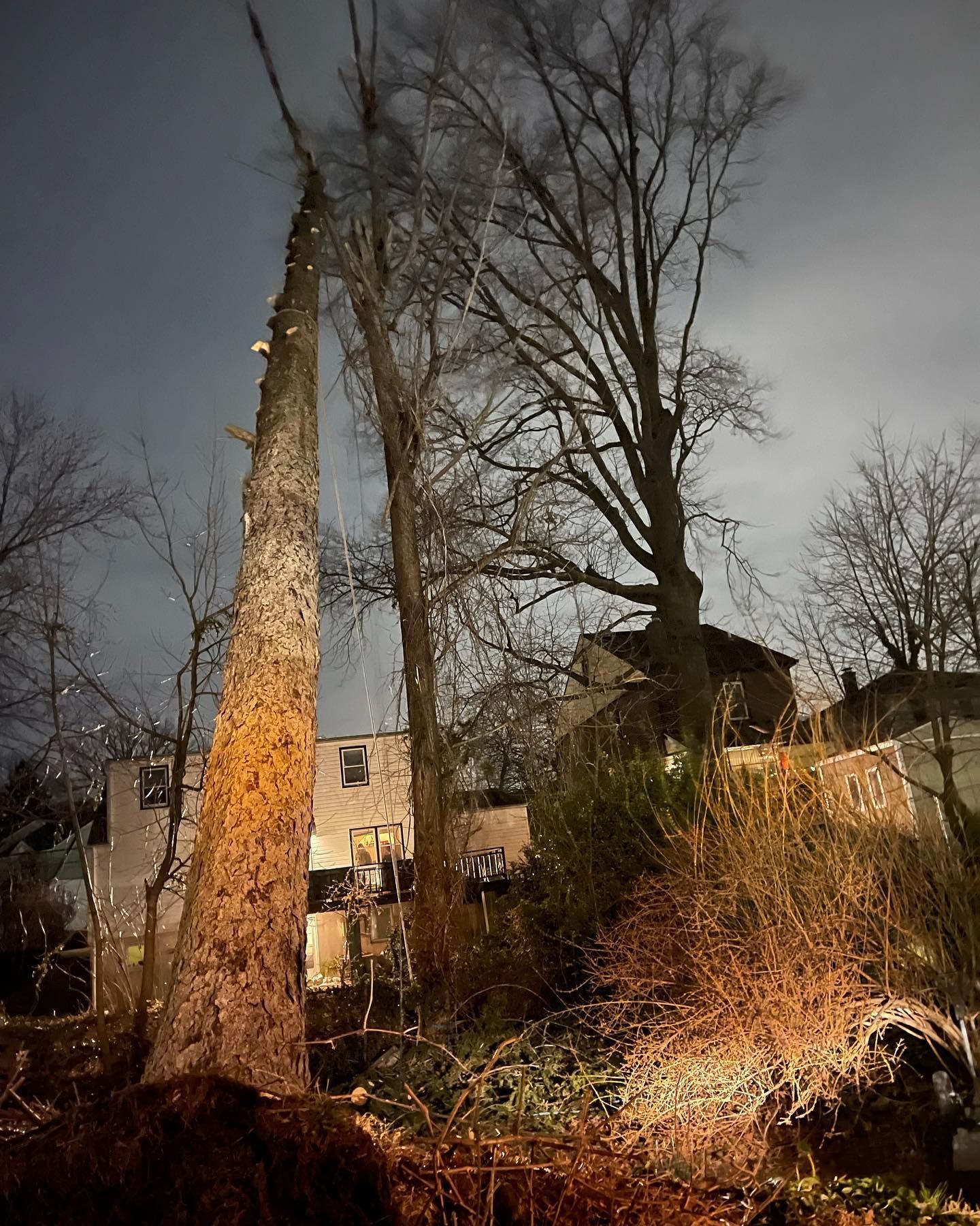 Nighttime view of bare trees in front of a lit-up house and cloudy sky.