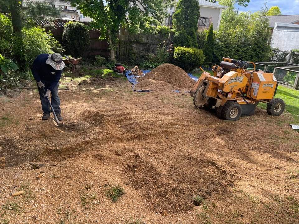Man using shovel on wood chips near a stump grinder in a yard.