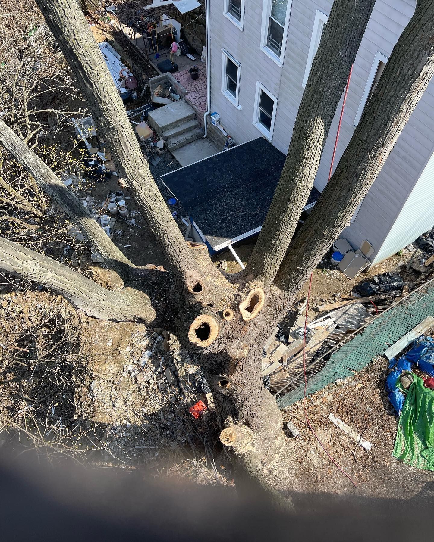 Overhead shot of a tree trunk with several cut branches, near a multi-story building and debris.