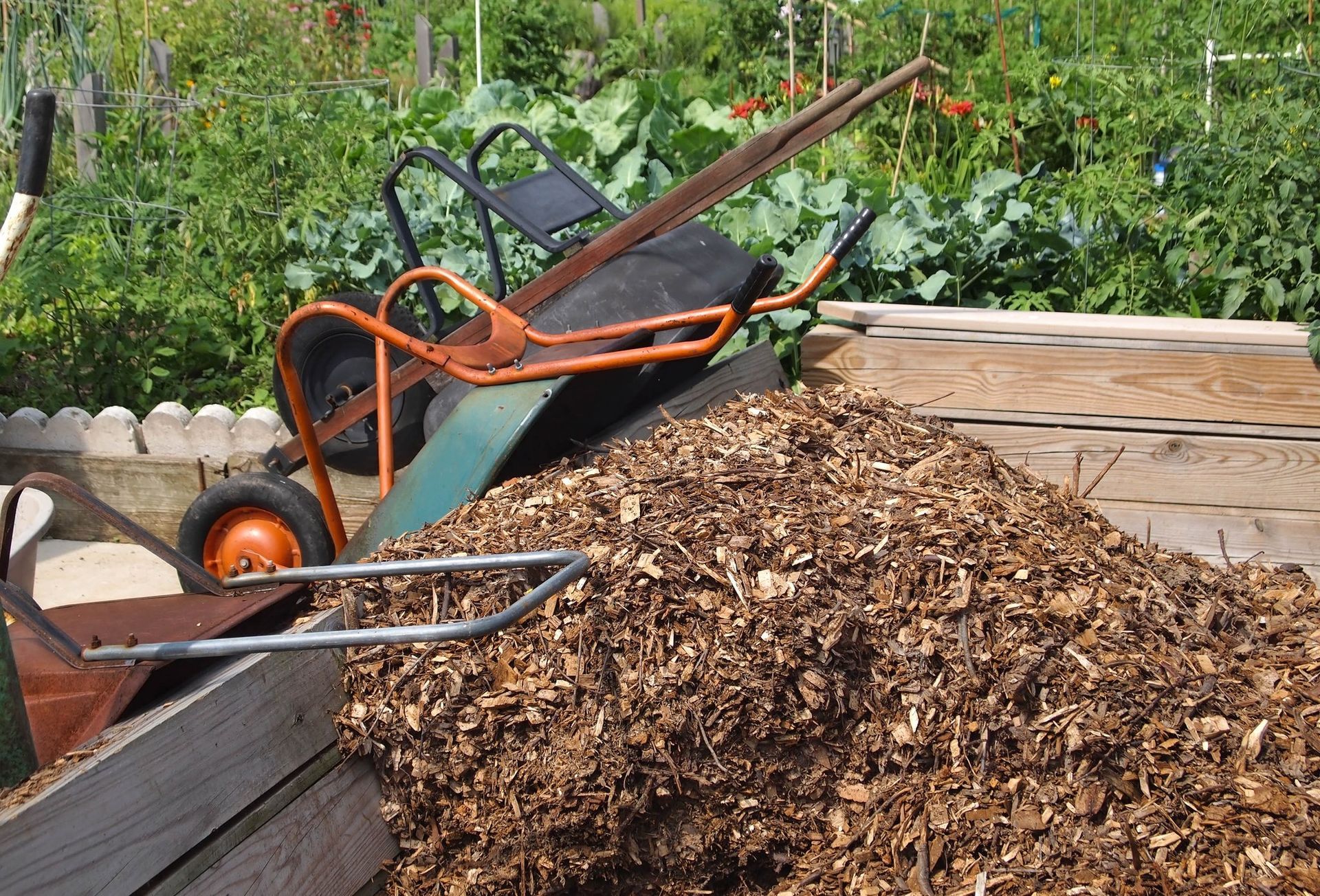 Wheelbarrow dumping wood chips into a raised garden bed; garden in background.