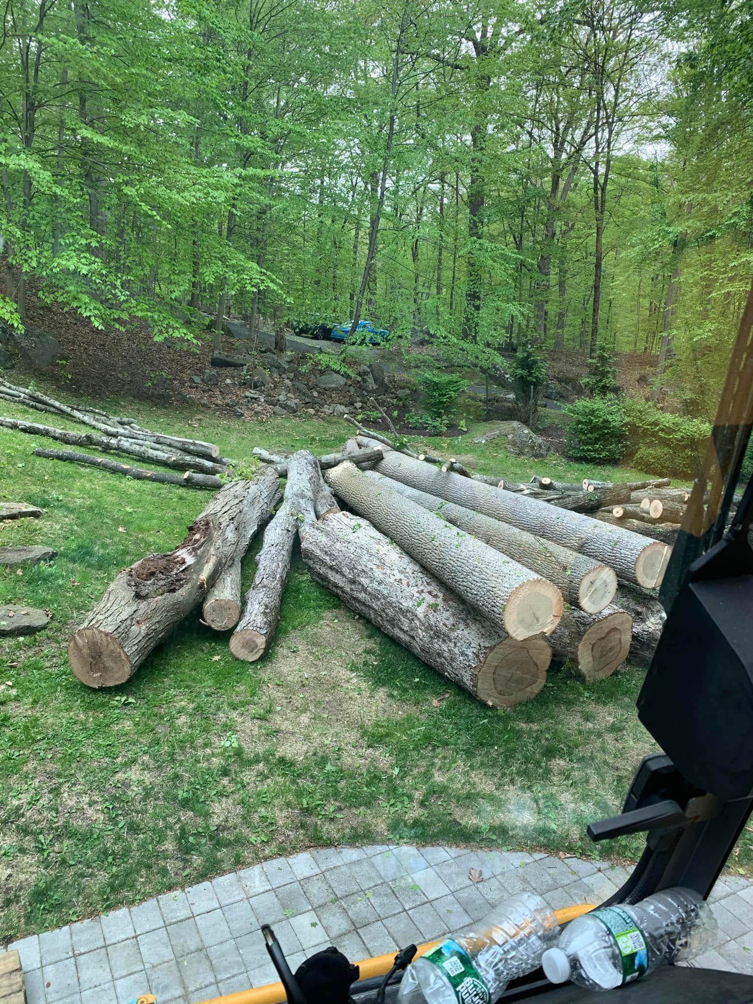 Logs of cut wood on a grassy lawn, with trees in the background.