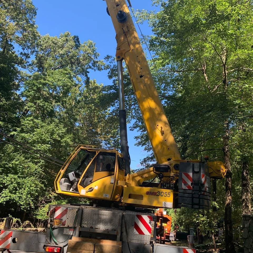 Yellow crane in a wooded area, boom extended. The crane is on a truck bed.