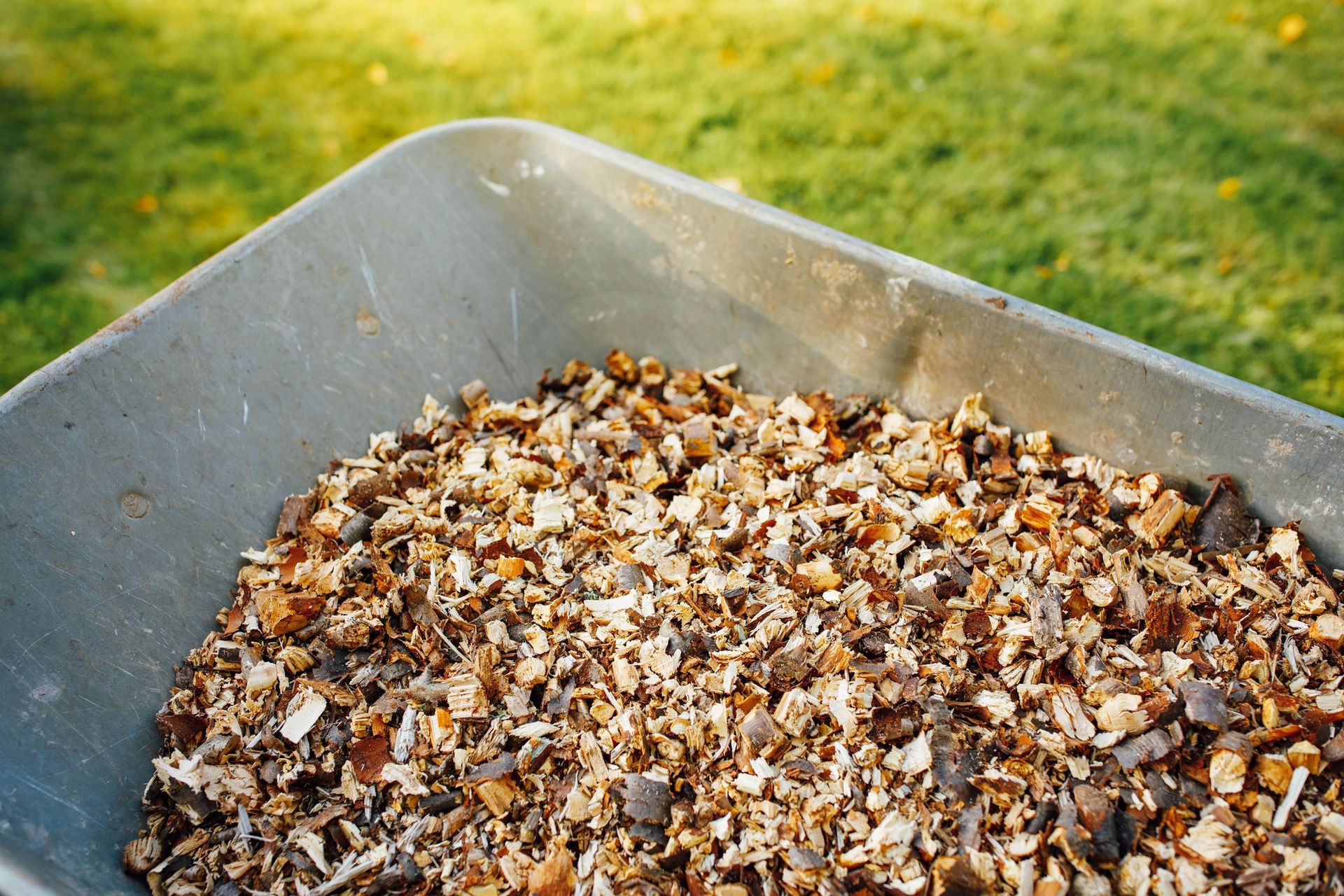 Wheelbarrow filled with wood chips, on a grassy background.