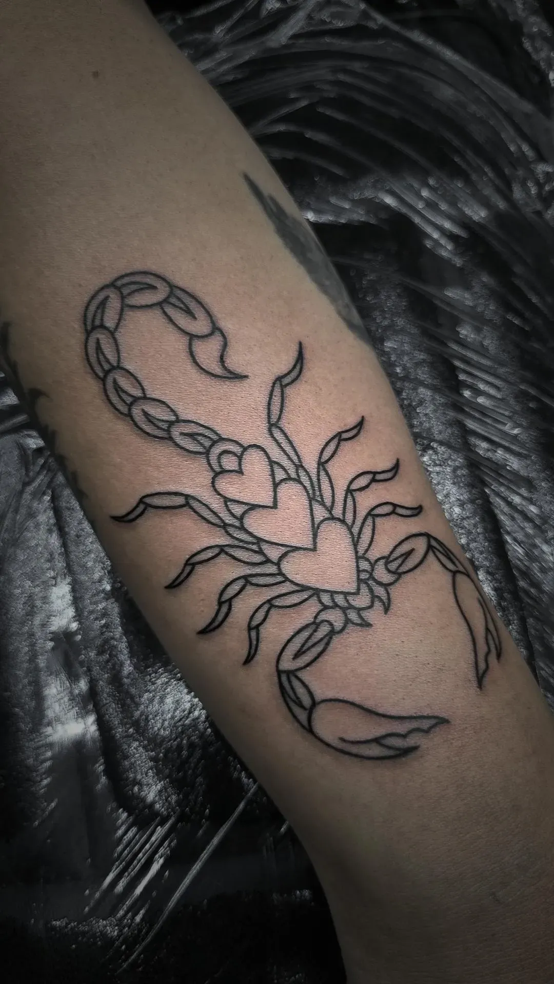 Tatuaje de contorno negro de un escorpión con detalles corporales en forma de corazón en un brazo.