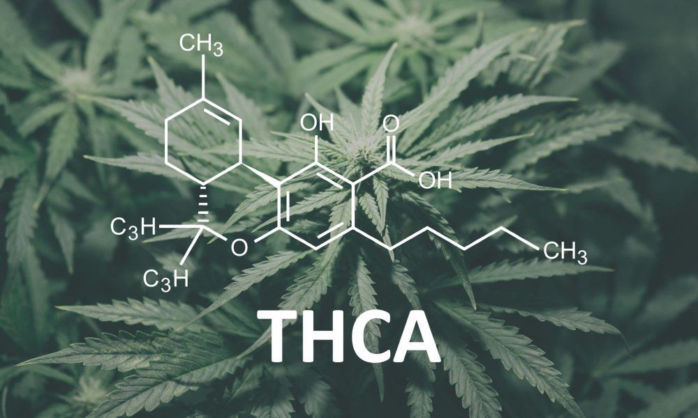 THCA Vs. CBD Explained