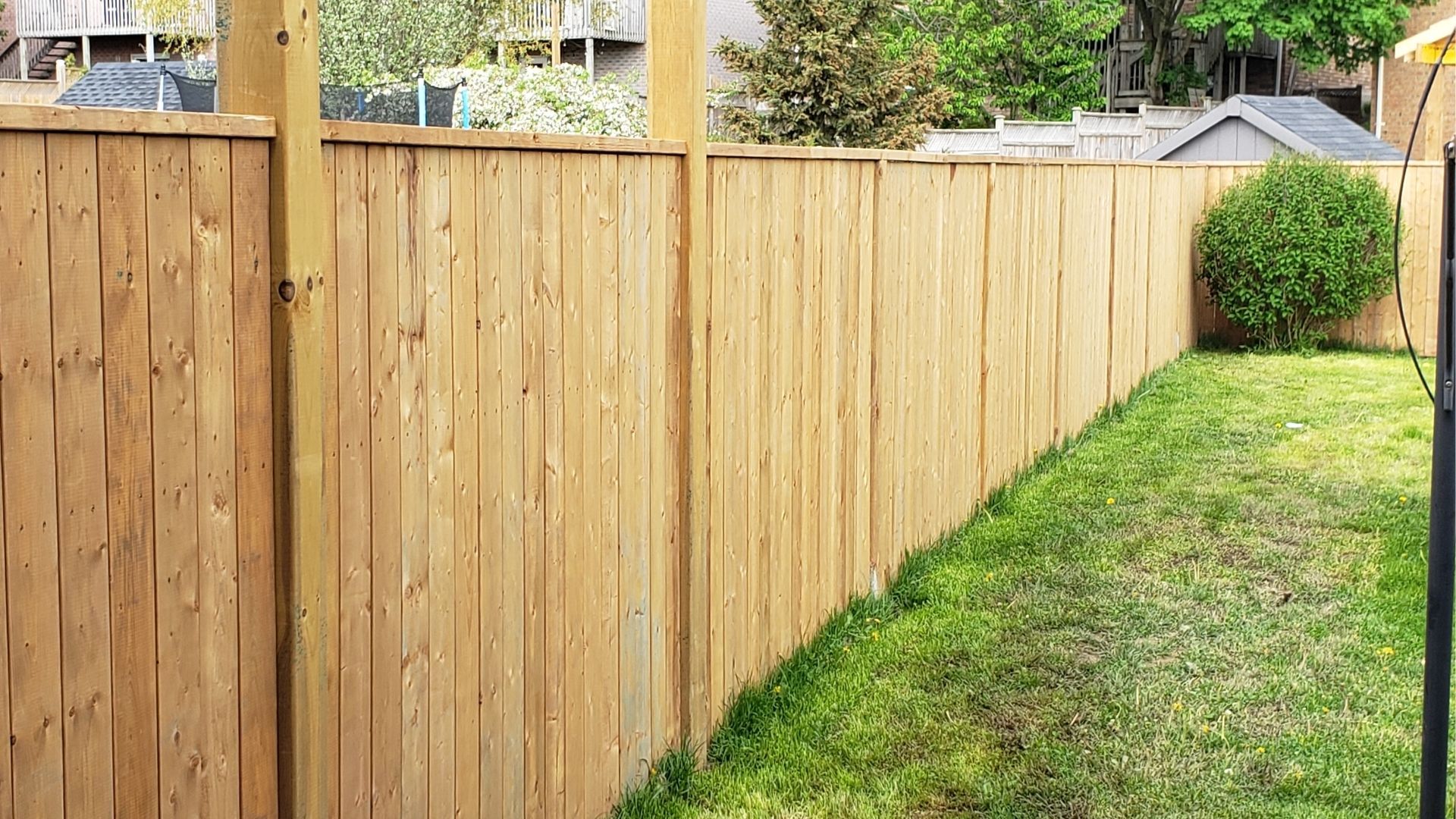 A tall, light-brown wood privacy fence spans a backyard next to a green lawn with a small, round shrub in the distance.