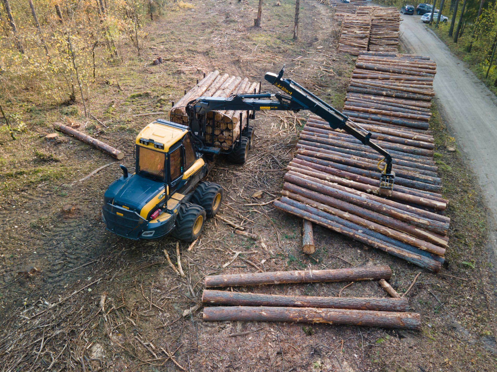 Miško ruošos darbai