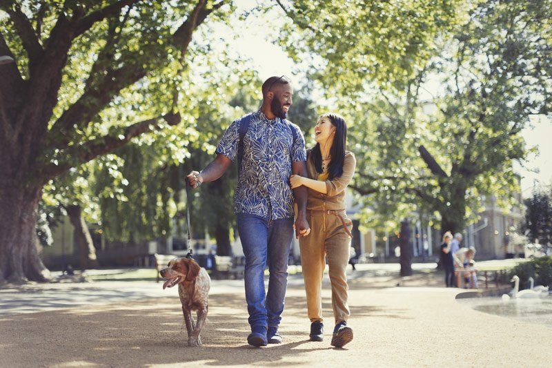 A happy couple walking their dog through a city park