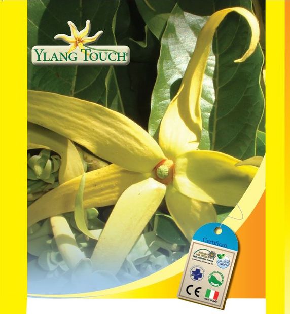 Ylang Touch