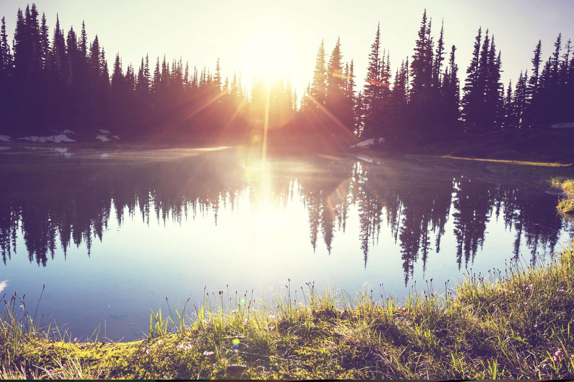 sunrise over the trees and water at lake hartwell