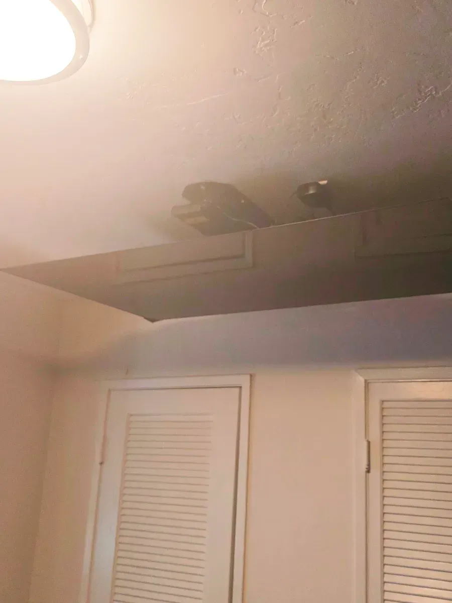 Ceiling with a mounted dark-colored ceiling fan, a light fixture, and two white doors with blinds.