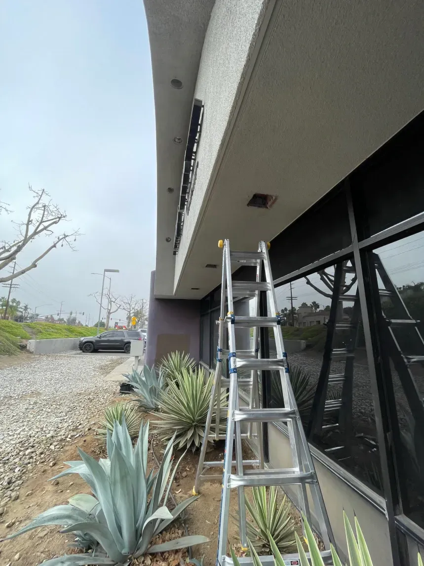 Ladder propped against a building's overhang, near windows and agave plants. Overcast sky.