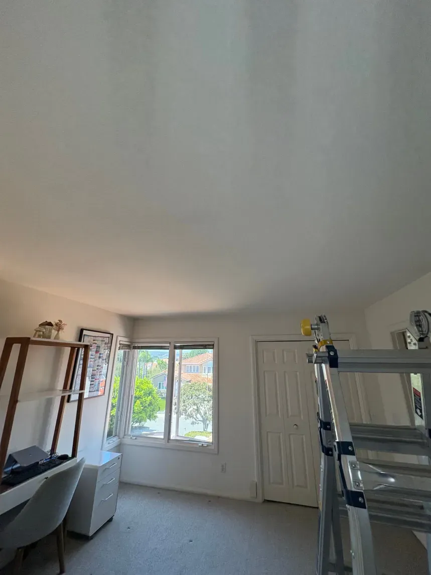 A bright room with a desk, window, and a ladder. The ceiling has discoloration.