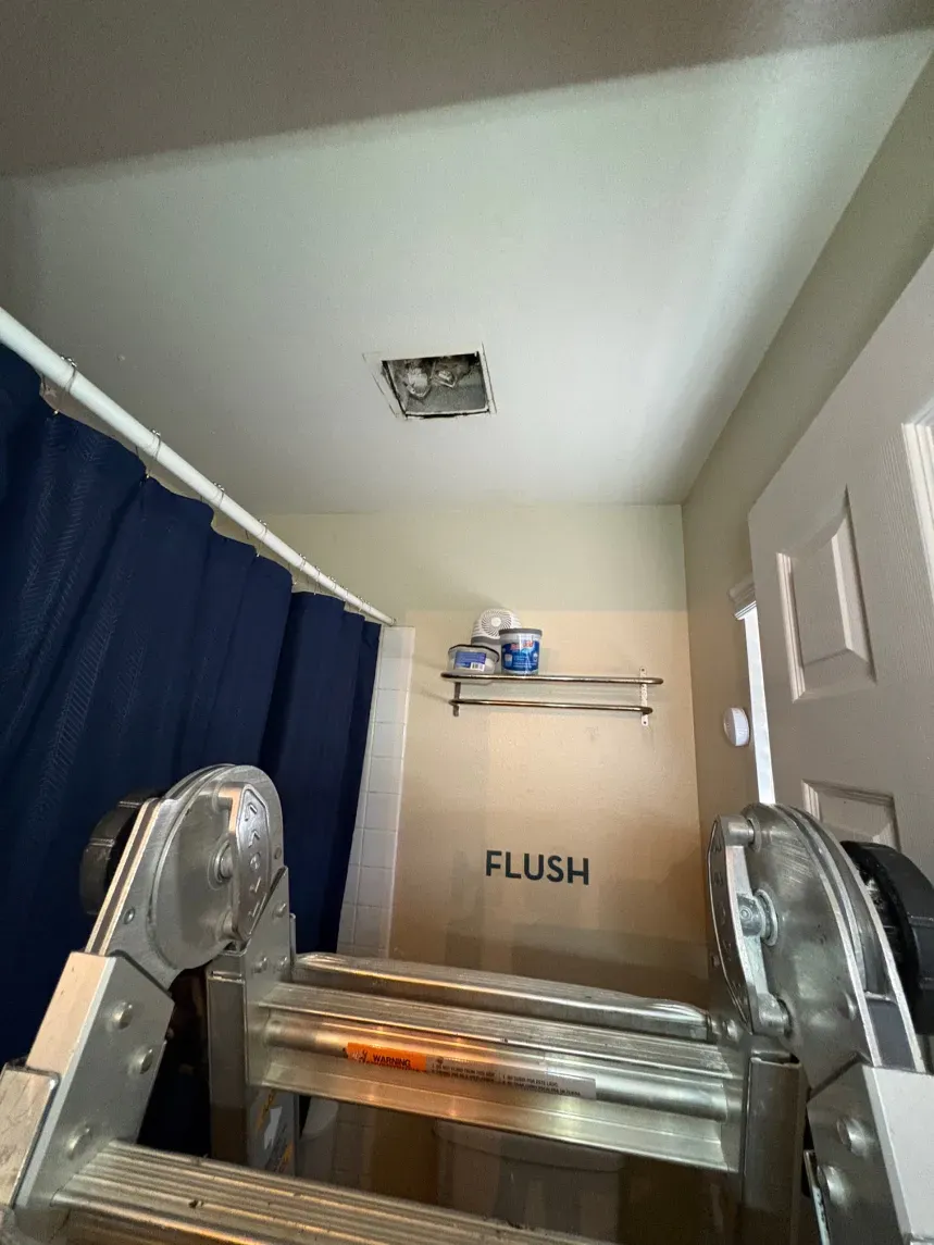 A bathroom ceiling with a missing panel, a ladder, and a blue shower curtain.