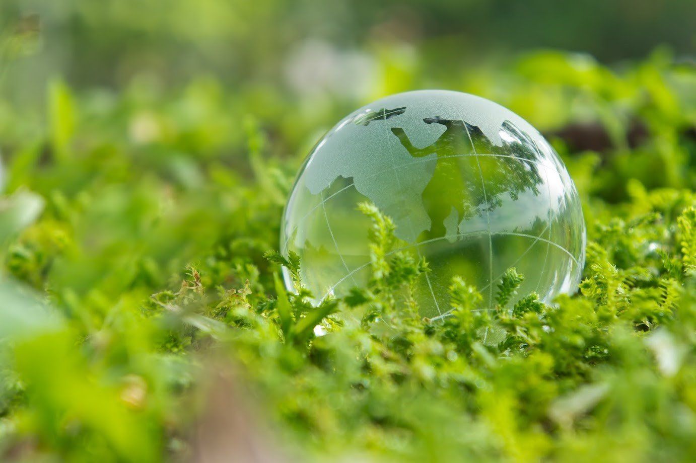 Close Up Photo Of A Transparent Globe  — Denver, CO — Denver Oil