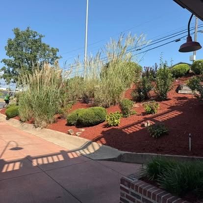 Landscaped area with red mulch, plants, and bushes on a slope, under a blue sky.