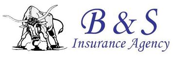 B&S Insurance logo