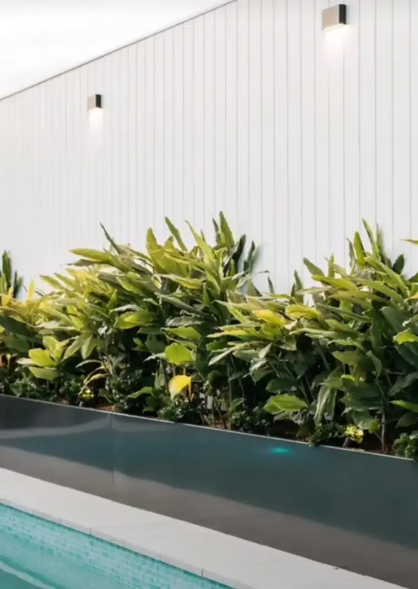 A Swimming Pool Surrounded By Plants And A White Wall — Aussie UnderCover In South Nowra, NSW