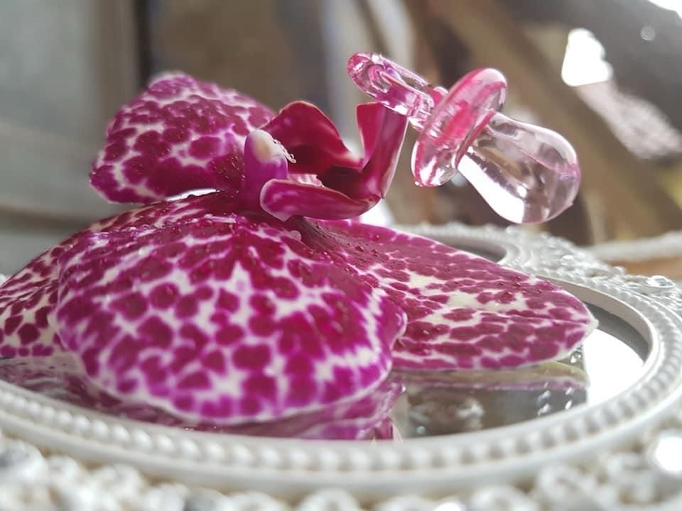 Un primo piano di un fiore viola su uno specchio