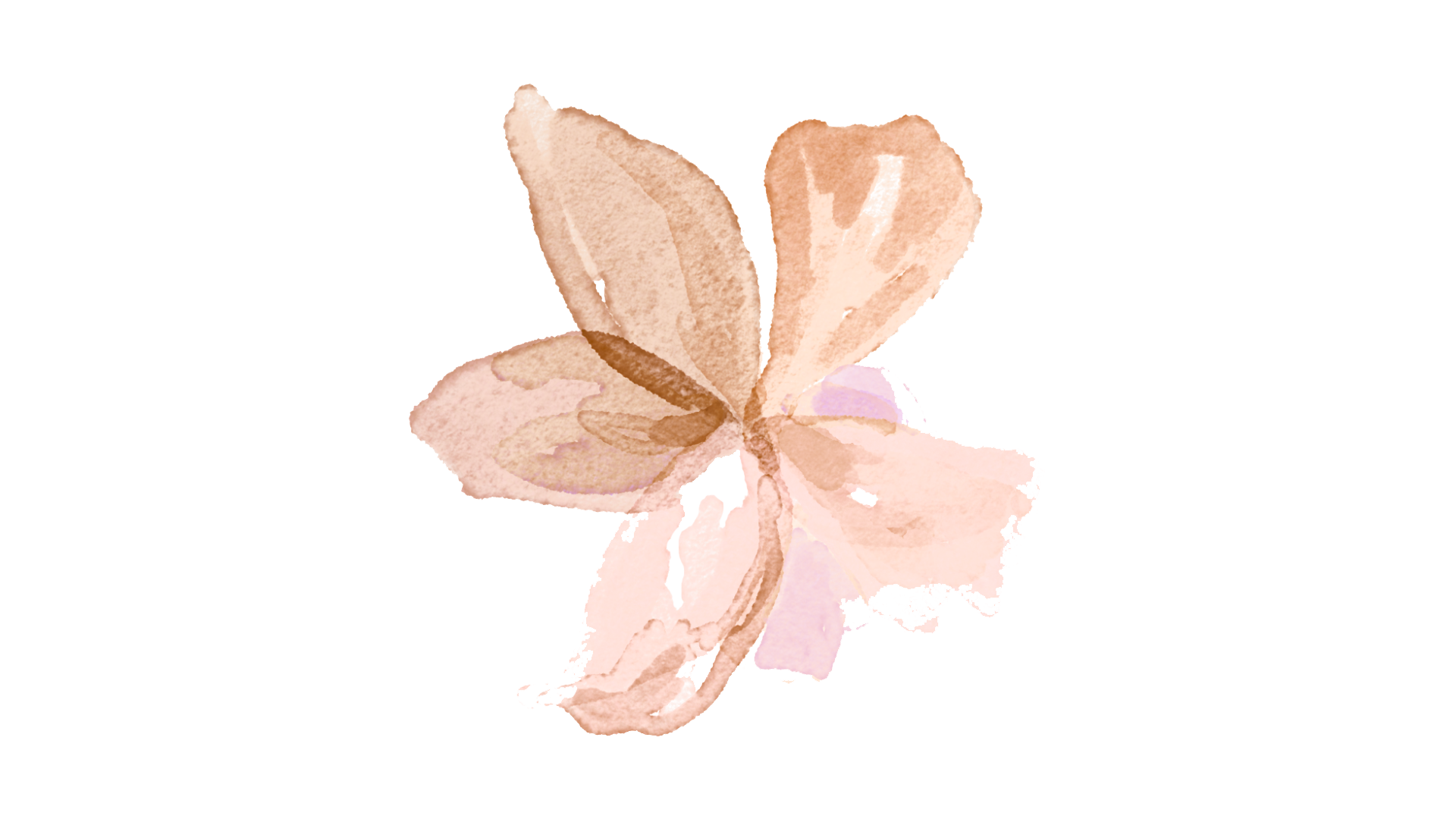 Un primo piano di un dipinto ad acquerello di un fiore su sfondo bianco.