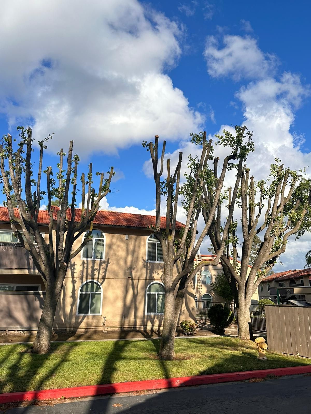 A building with a red roof and trees in front of it.