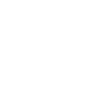 repair icon