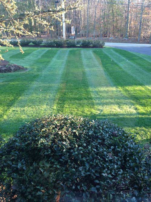 Front-Stripes — Weed Control in Chadds Ford, PA