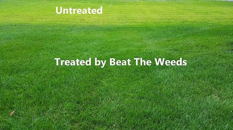 Backyard — Weed Control in Chadds Ford, PA